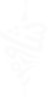 شاورمر